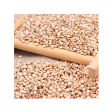premium grade quinoa grain